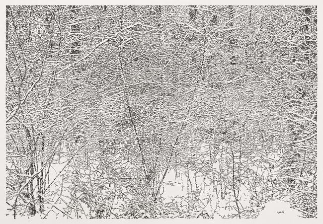 Richard Mueller Winterzeichnung Randen 4